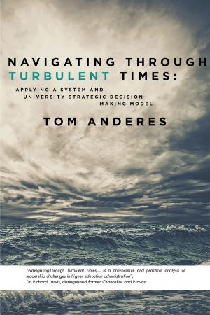 Book cover of Navigating Through Turbulent Times: Applying a System and University Strategic Decision Making Model