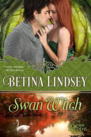 Cover of the book Swan Witch by Sarah McCulloch