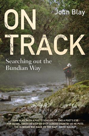 Cover of the book On Track by David Hook