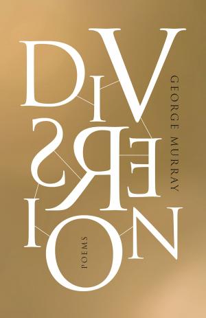 Cover of the book Diversion by Anne Emery
