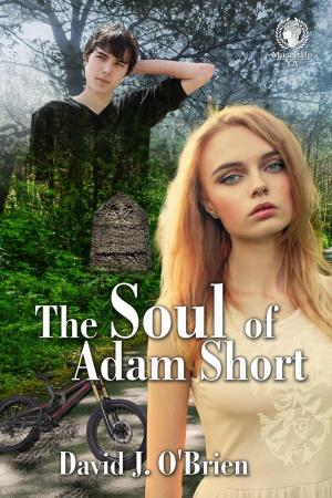 Cover of the book The Soul of Adam Short by Bosnyák Viktória