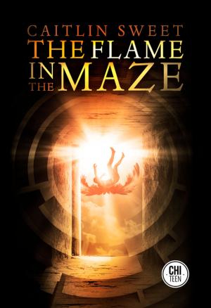 Cover of the book The Flame in the Maze by Michael Marano