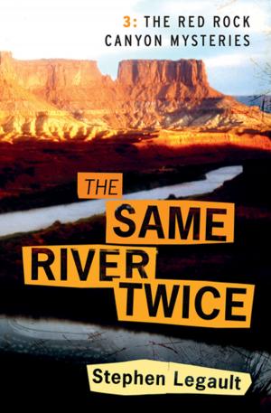 Cover of the book The Same River Twice by Linda Whitworth