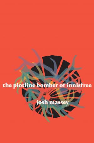 bigCover of the book The Plotline Bomber of Innisfree by 