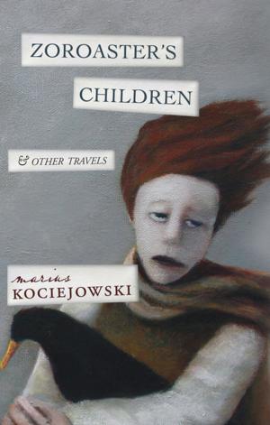 Cover of the book Zoroaster's Children by Amanda Jernigan
