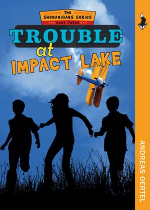 Book cover of Trouble at Impact Lake
