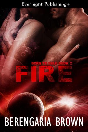 Cover of the book Fire by Kerri M. Patterson