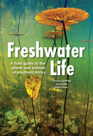 Cover of the book Freshwater Life by Lindsay Payne
