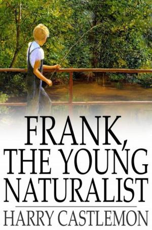 Cover of the book Frank, the Young Naturalist by Mary MacLane