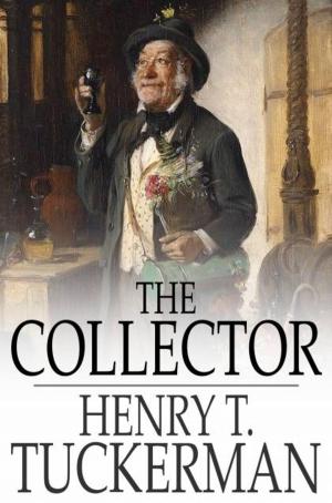Cover of the book The Collector by Jeff Matthews