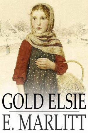 Cover of the book Gold Elsie by Sarah Orne Jewett