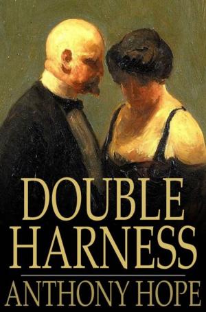 Book cover of Double Harness
