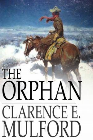 bigCover of the book The Orphan by 