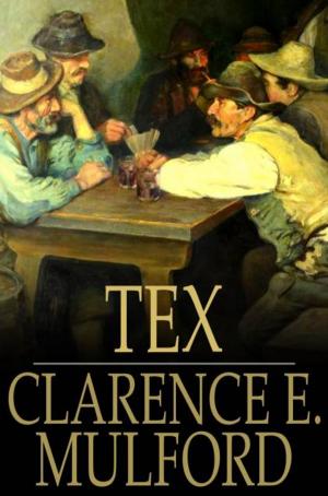 Cover of the book Tex by Arlo Bates