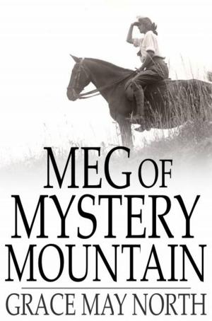 Book cover of Meg of Mystery Mountain