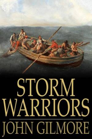 Cover of the book Storm Warriors by Dorothy Wayne