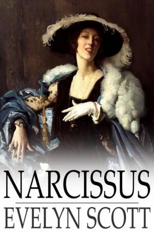Cover of the book Narcissus by J. K. Huysmans
