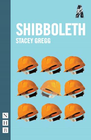 Cover of the book Shibboleth (NHB Modern Plays) by James Fritz