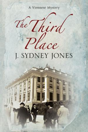 Cover of the book Third Place, The by Liliane L. Gratton
