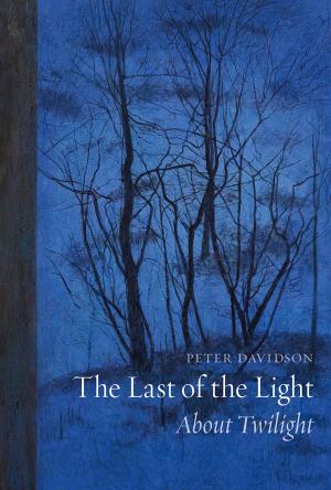 Cover of the book The Last of the Light by Victoria Dickenson