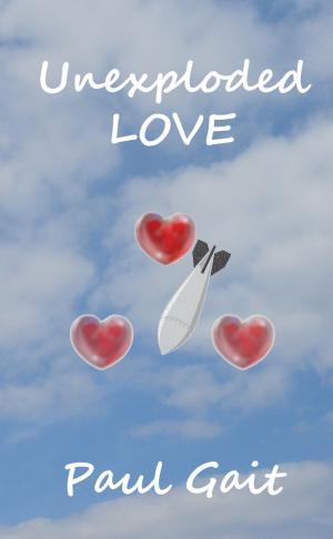 Book cover of Unexploded Love