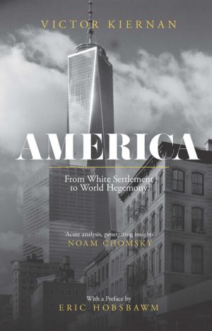 Cover of the book America by Rosemary Sayigh
