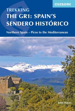 Cover of the book Spain's Sendero Historico: The GR1 by Paddy Dillon