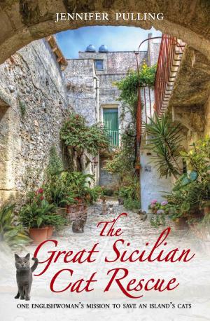 Cover of the book The Great Sicilian Cat Rescue by John Tovey, Veronica Clark