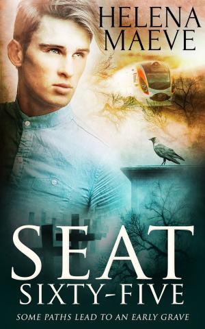 Cover of the book Seat Sixty-Five by Amber Malloy