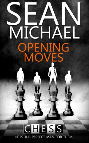 Cover of the book Opening Moves by Helena Maeve