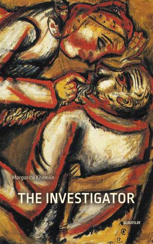Cover of the book The Investigator by David Grabijn