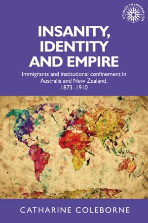 Cover of the book Insanity, identity and empire by Susana Onega