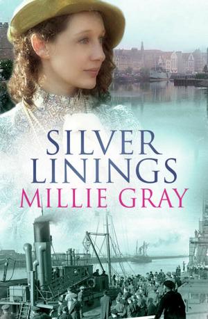 Cover of the book Silver Linings by Daniela Sacerdoti