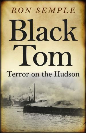 bigCover of the book Black Tom by 