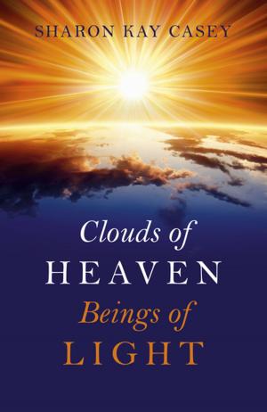 Cover of the book Clouds of Heaven, Beings of Light by Andrez Bergen