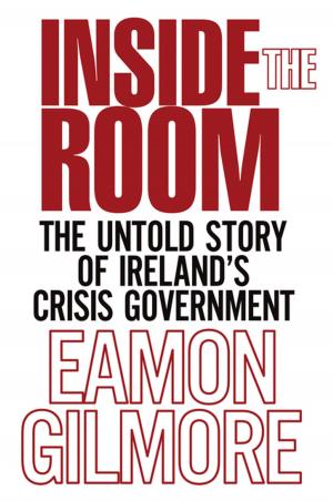 Cover of the book Inside the Room by Eoin Swithin Walsh, Diarmaid Ferriter