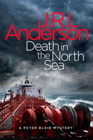 Cover of the book Death in the North Sea by Simon Packham