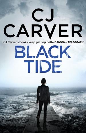 Cover of the book Black Tide by JRL Anderson