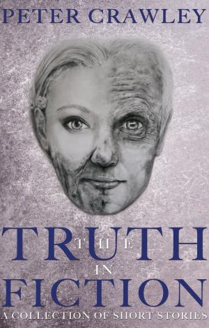 Cover of the book The Truth In Fiction by Margaret de Rohan