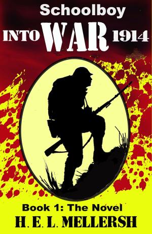Cover of the book Schoolboy into war by E. James Chapman