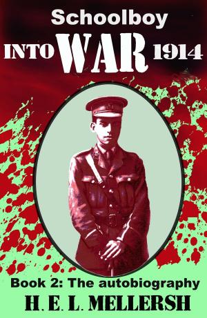 Cover of the book Schoolboy into war by Andrew JH Sharp