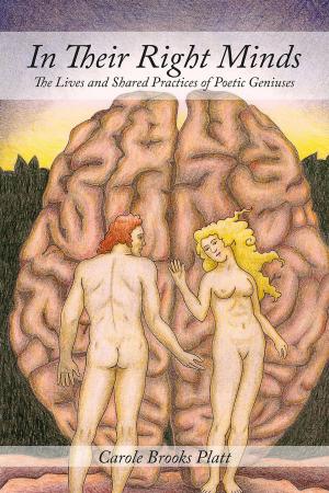 Cover of the book In Their Right Minds by Chris Page