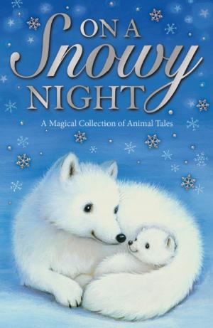 Cover of the book On a Snowy Night by Lucy Courtenay