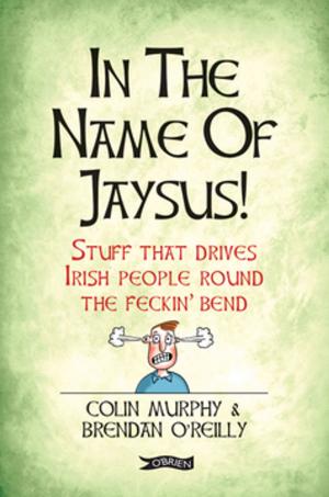 Cover of the book In The Name of Jaysus! by Christy O'Connor