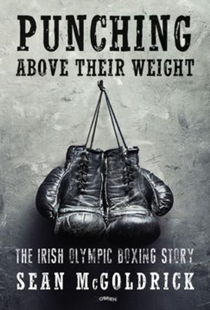 Cover of the book Punching Above their Weight by Judi Curtin
