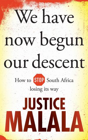 Cover of the book We have now begun our descent by Mr Jacques Pauw
