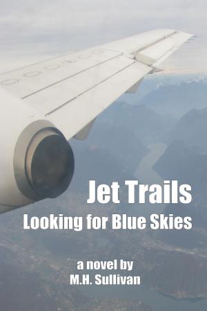 bigCover of the book Jet Trails: Looking for Blue Skies by 