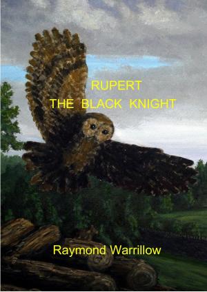 bigCover of the book Rupert The Black Knight by 