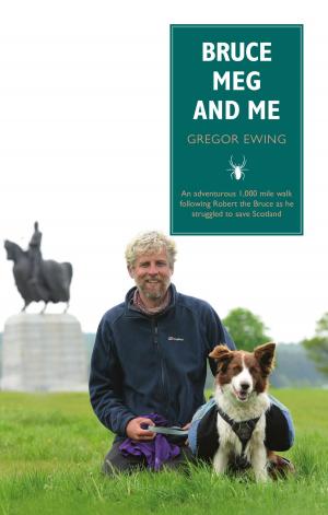 Cover of the book Bruce, Meg and Me by Clark McGinn