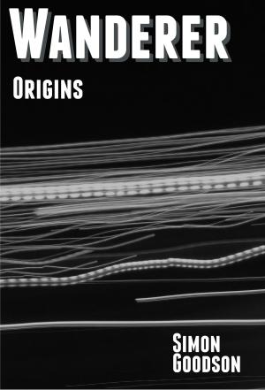 Cover of the book Wanderer - Origins by Alexander Webb